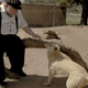 Image for article titled George R. R. Martin declines to kill someone for once